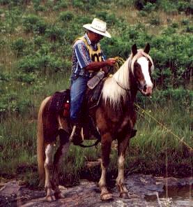 Another Winner!  (25927 bytes)