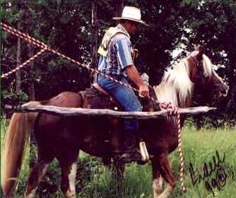 Through the gate - enter our center  (17196 bytes)