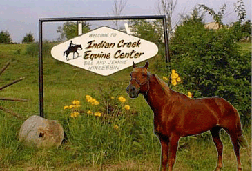 Indian Creek Equine Center, Chillicothe, Missouri  (76163 bytes)