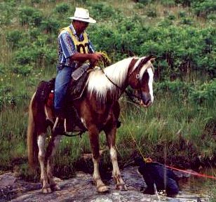 Competition is tough!  (30850 bytes)