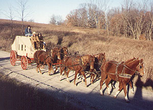 We're a team at Indian Creek (all horses shown have same Sire) (26676 bytes)
